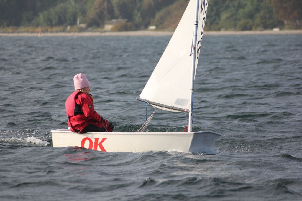 Vis 20101009 110041.jpg i fuld st�rrelse